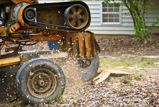 stump grinding washington or